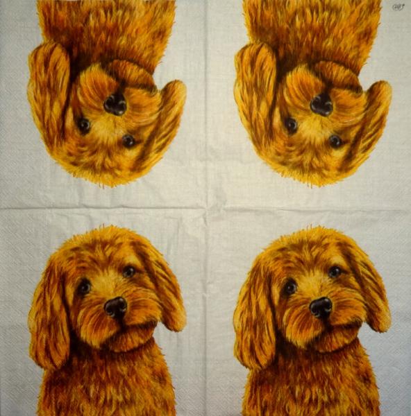 HUN-652 Dogs - 3-ply - Ihr